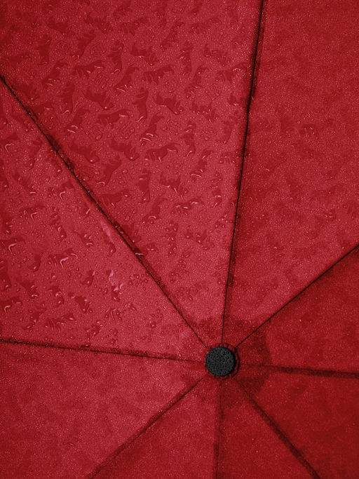 Зонт Labbra жен А3-05-LT406 07