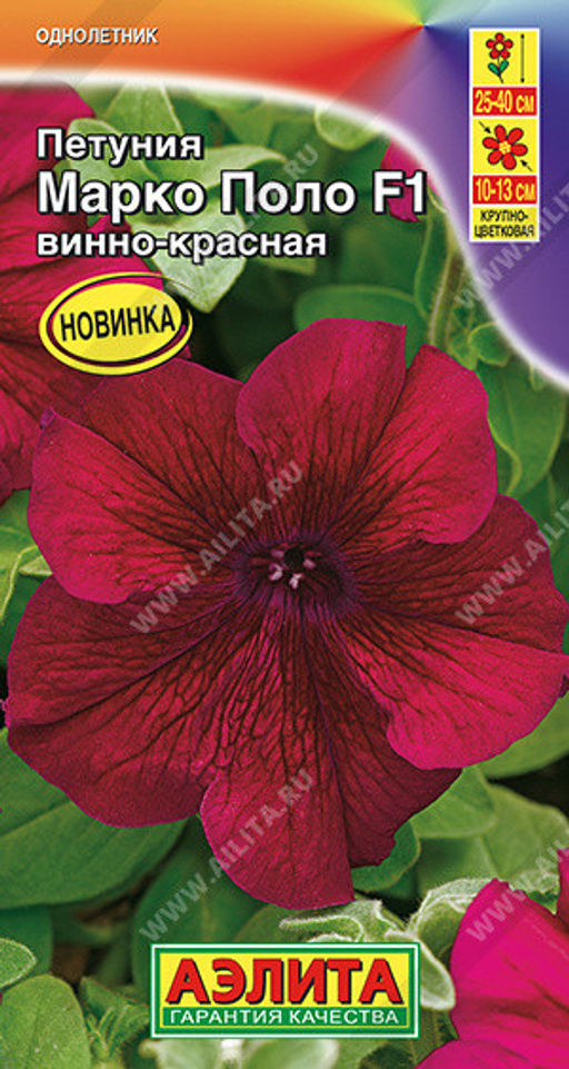 1726A Петуния Марко Поло F1 винно-красная 7шт