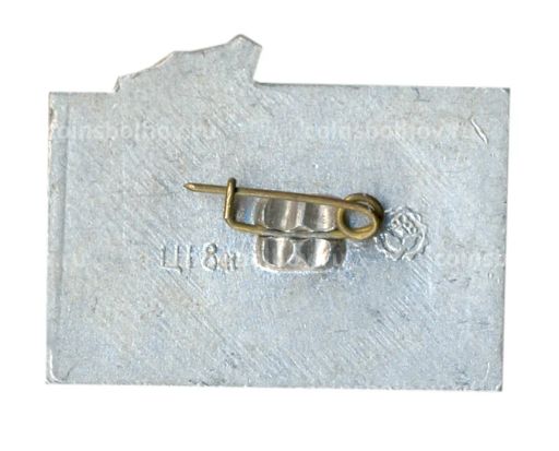 Значок Киев  Арсенал 1917