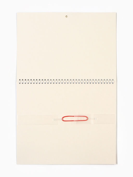 Календарь настенный квартальный 2026 «Лошадь с котенком», 30×46 см