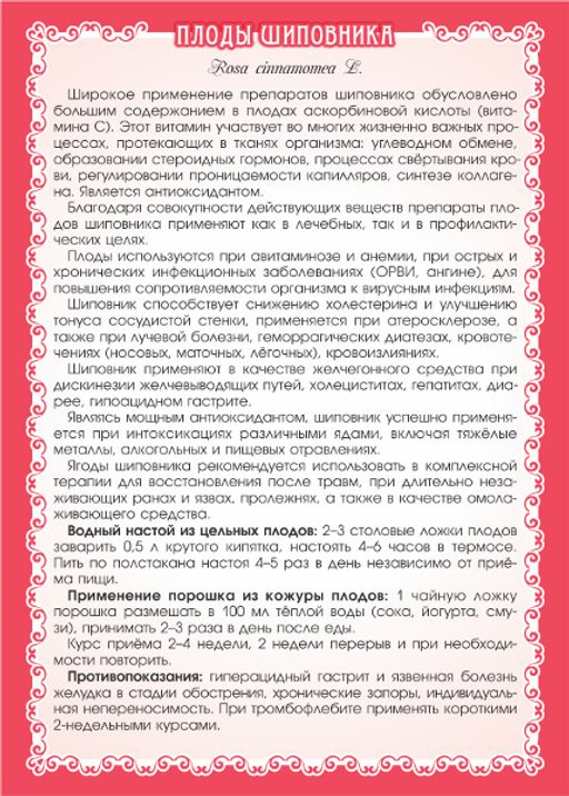 Шиповник (порошок) - Мариславна фото 3