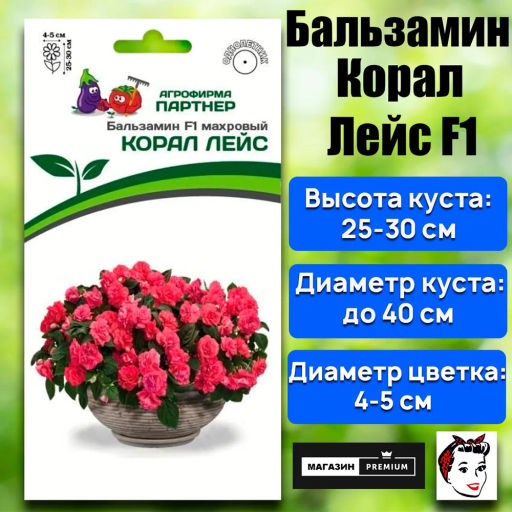 Бальзамин Уоллера махровый Корал Лейс - Партнер фото 2