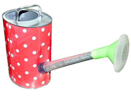 Лейка огородная декоративная 10 л. оцинкованная