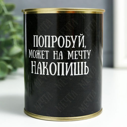 Копилка для денег «Банка. Попробуй, может на мечту накопишь», металл