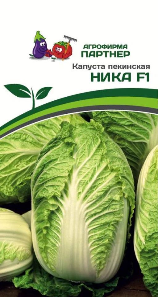 Капуста пекинская Ника