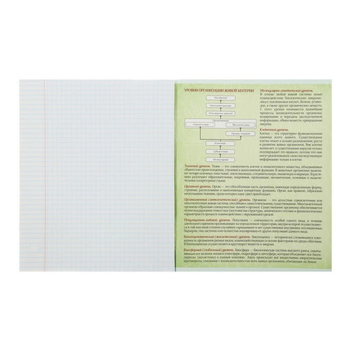 Тетрадь предметная Неон, 48 листов в клетку Биология, со справочным материалом, обложка мелованный картон, УФ-лак, блок офсет - Calligrata фото 3