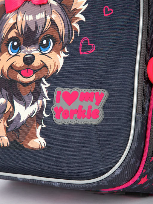 Рюкзак школьный SK1-32 - Steiner фото 19