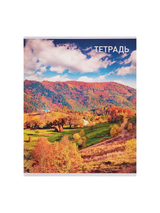 Набор тетрадей, 96 листов в клетку, Calligrata Природа, серые листы, 4 штуки  фото 8