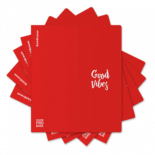 Цена за 5 шт. Тетрадь общая ученическая с пластиковой обложкой на скобе ErichKrause Words, красный, А5+, 48 листов, клетка_MIX-PACK  фото 12