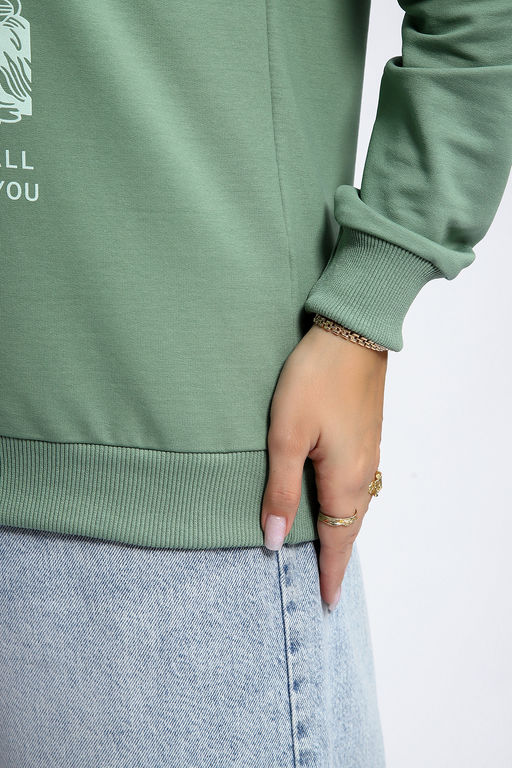 Толстовка 80047