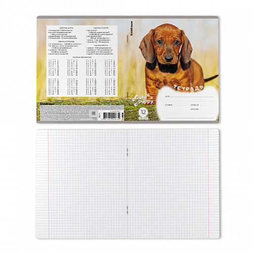 Цена за 10 шт. Тетрадь школьная ученическая ErichKrause Щенки, 12 листов, клетка (в плёнке по 10 шт.)_MIX-PACK  фото 8