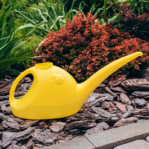 Лейка, 3 л, без рассеивателя, цвет МИКС