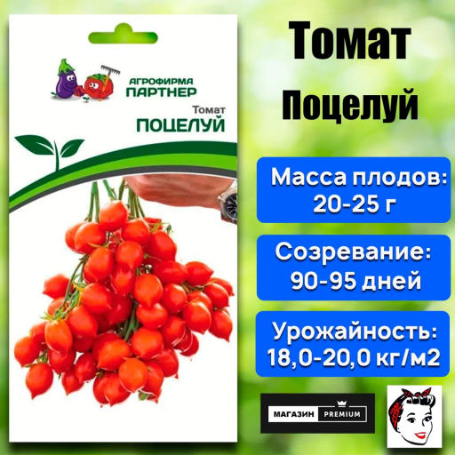 Томат Поцелуй - Партнер фото 2