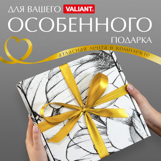VAL CH-BC-GBb Подарочная коробка 26*26,5*10 см., 1шт. CHIC, шт - Valiant фото 3