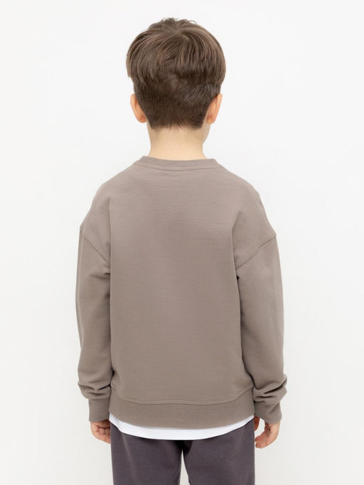 КР 302392/коричневый джемпер (свитшот) для мал