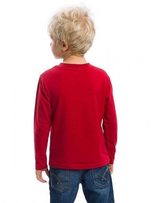 Pelican BFJ3153/1 джемпер для мальчиков  фото 3