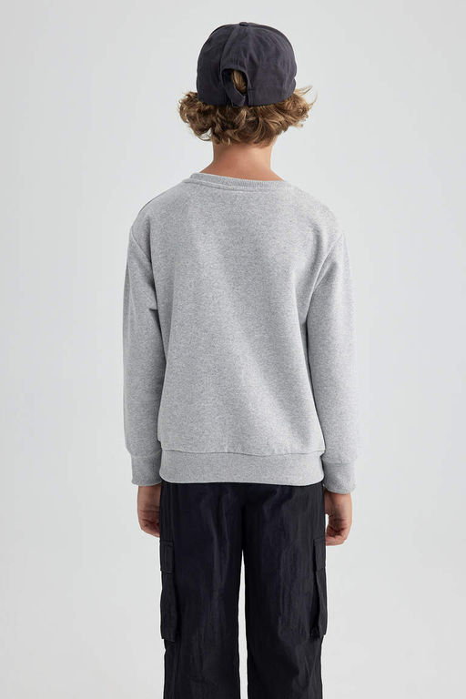 Плотный свитшот для мальчиков с круглым вырезом - Defacto фото 6