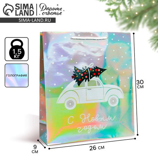Пакет голографический Спешу к тебе, M 26 30 9 см - Дарите счастье фото 16