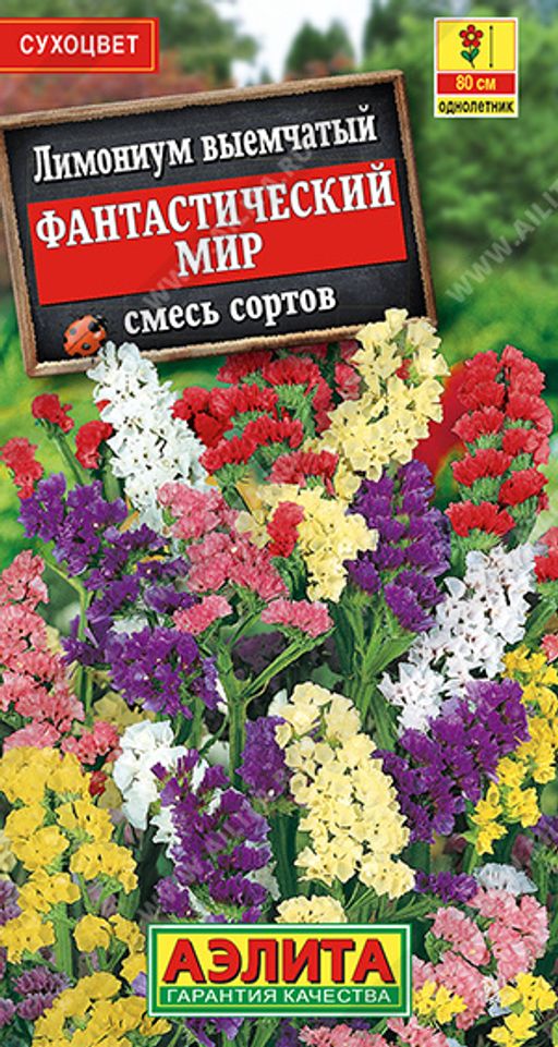 Лимониум Фантастический мир, смесь сортов