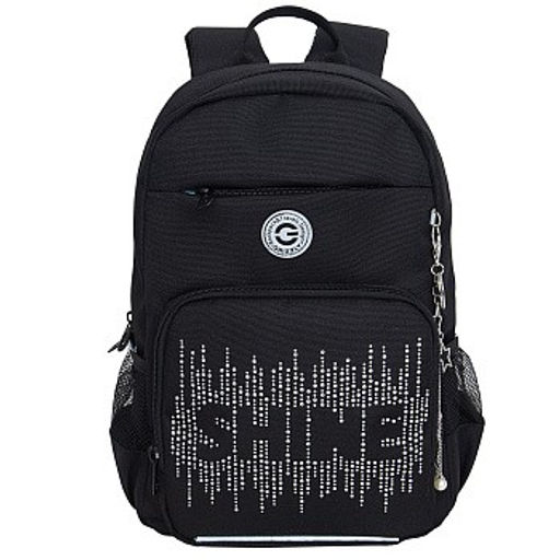 RG-464-3f Рюкзак школьный - Grizzly фото 13