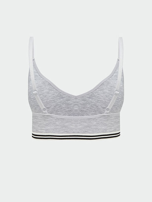 Balensiz ?izgili B?stiyer