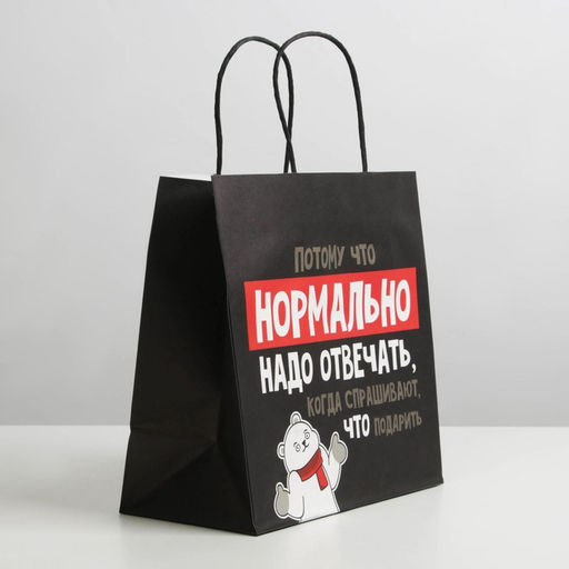 Цена за 2 шт. Пакет подарочный новогодний «Нормально надо отвечать», 22×22×11 см
