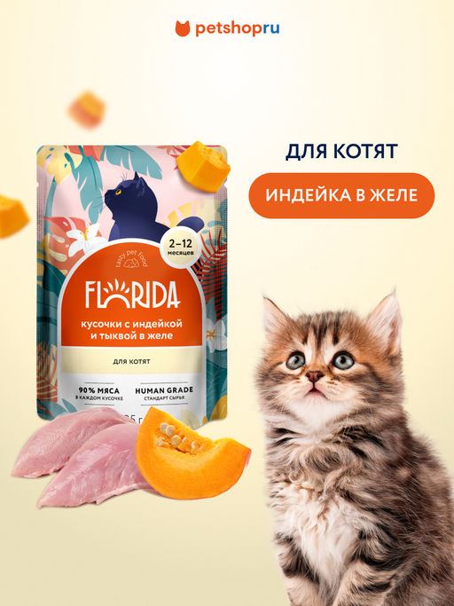 Паучи для котят: кусочки с индейкой и тыквой в желе - Florida фото 9