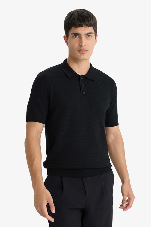 Standart Fit Polo Yaka Triko K_sa Kollu Ti__rt - Defacto фото 3