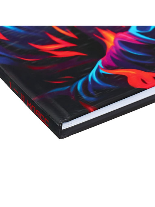 Цена за 2 шт. Дневник универсальный для 1-11 классов «Аноним», твёрдая обложка, глянцевая ламинация, 40 листов