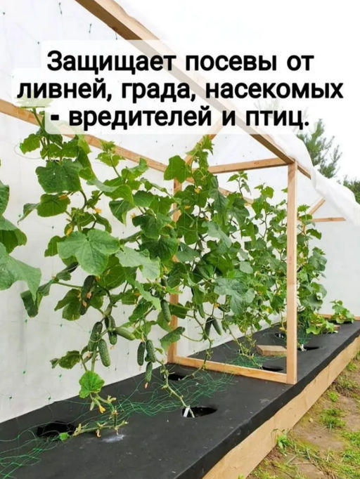 Укрывной материал 80мкм 3,2*10м белый - Парников фото 4