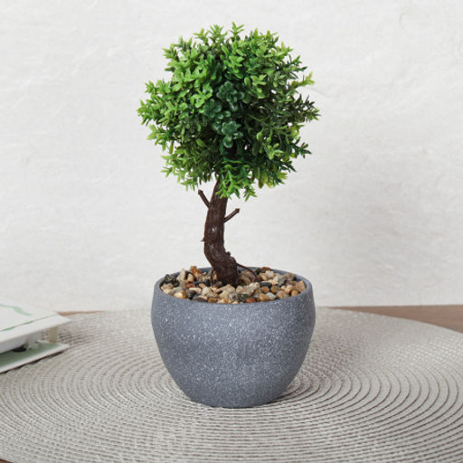 Цветочная композиция Зелень самшит 22 см / 9090-11 /уп 12/72/ - Галеонтрейд фото 7