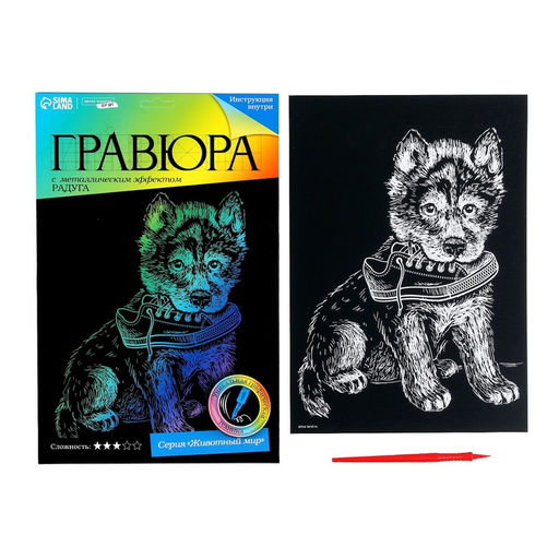 Гравюра Щенок с ботинком с эффектом голография - Школа талантов фото 2