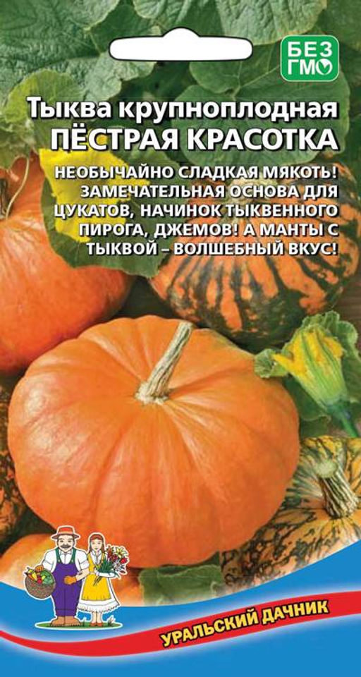 Тыква ПЁСТРАЯ КРАСОТКА Необычайно сладкая мякоть! Замечательная основа для цукатов, начинок тыквенного пирога, джемов! А манты с тыквой волшебный вкус!