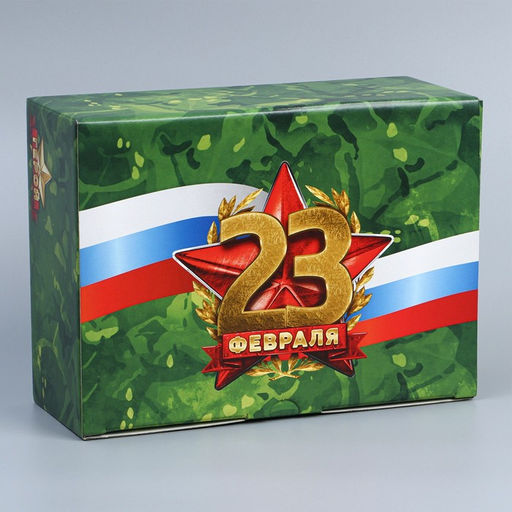 Цена за 2 шт. Коробка подарочная сборная, упаковка, «23 февраля», 26×19×10 см