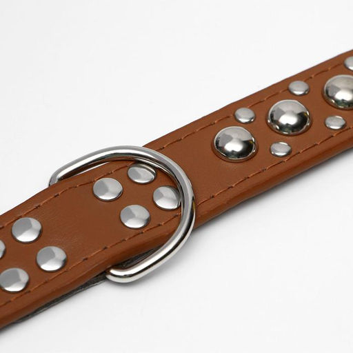 Ошейник Сириус, кожзам с заклёпками, 56 х 3 см, ОШ 42-52, коричневый - Пижон фото 4