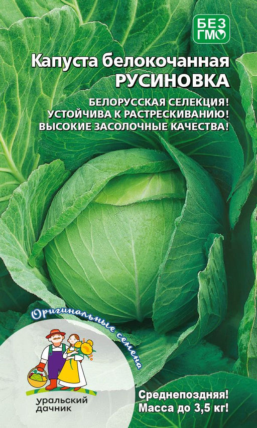 Капуста РУСИНОВКА Белорусская селекция! Устойчива к растрескиванию! Высокие засолочные качества!