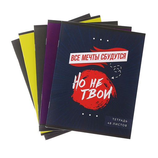 Тетрадь 48 листов в клетку Calligrata Надпись-1, обложка мелованный картон, блок офсет, МИКС  фото 3