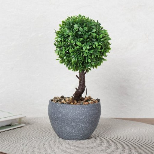 Цветочная композиция Зелень самшит 22 см / 9090-11 /уп 12/72/ - Галеонтрейд фото 2