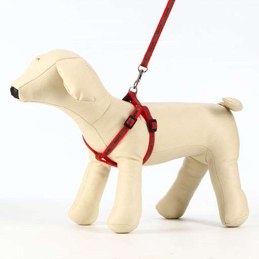 Комплект Спорт светоотражающий, поводок 120 х 1 см, ОГ 23-35 см, красный - Пижон фото 4