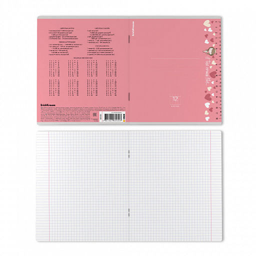 Цена за 10 шт. Тетрадь школьная ученическая ErichKrause Ruler Magic ассорти, 12 листов, клетка (в плёнке по 10 шт.)_MIX-PACK  фото 8