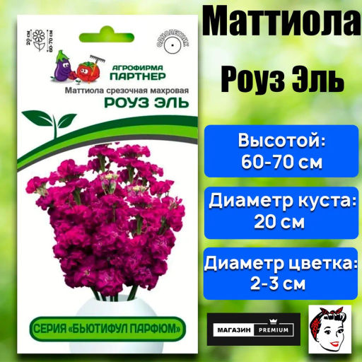 Маттиола срезочная махровая Бьютифул Парфюм Роуз Эль