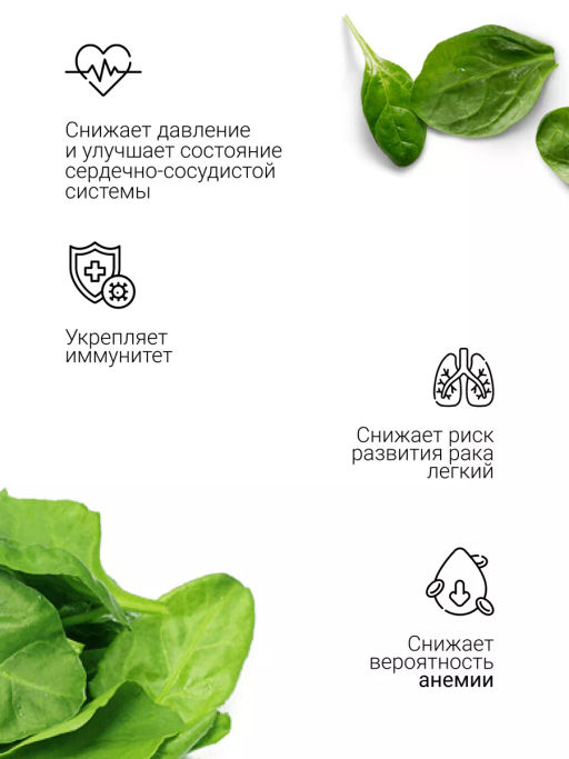Шпинат порошок 100г (состав: порошок шпинат)