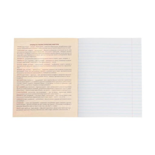 Тетрадь предметная Доска, 48 листов в линейку Литература, обложка мелованный картон, блок офсет - Calligrata фото 2