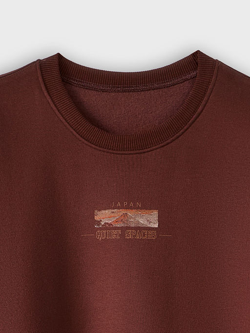 Теплый свитшот мужской коричневый с начесом и художественным принтом - Mark formelle фото 5