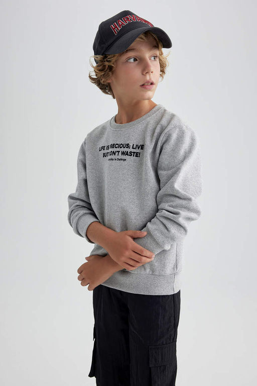 Плотный свитшот для мальчиков с круглым вырезом - Defacto фото 5