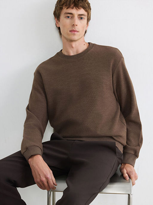 Regular Fit Bisiklet Yaka Erkek Triko Sweatshirt