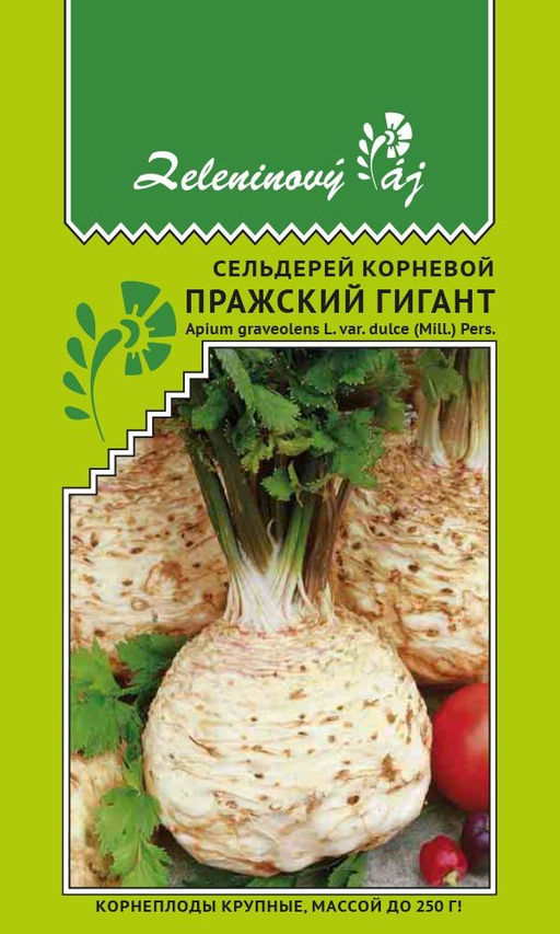 Сельдерей корневой ПРАЖСКИЙ ГИГАНТ  Чешские семена! Крупные корнеплоды, массой до 250 г!