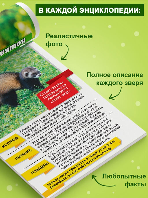 Мини - энциклопедии «Мир животных», 8 шт. по 20 стр.