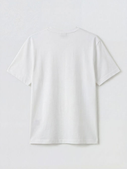 Bisiklet Yaka Erkek Ti??rt