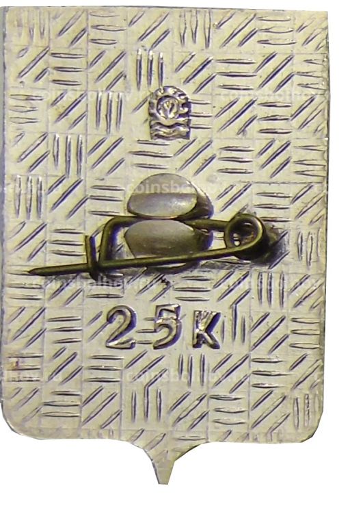 Значок Копейск